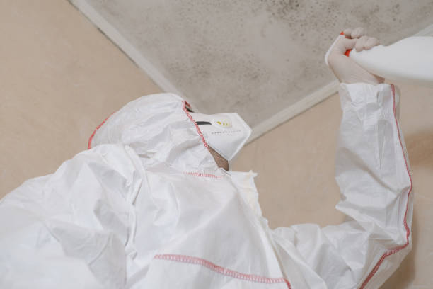 Best Crawl Space Mold Remediation in Pottsville, PA
